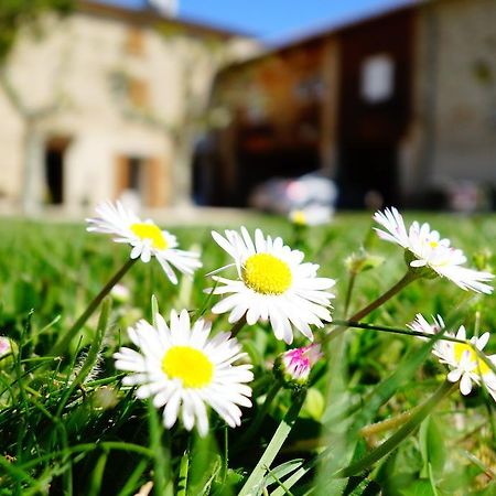 La Ferme Des Denis Chambres Dhotes Chanos-Curson Exteriér fotografie