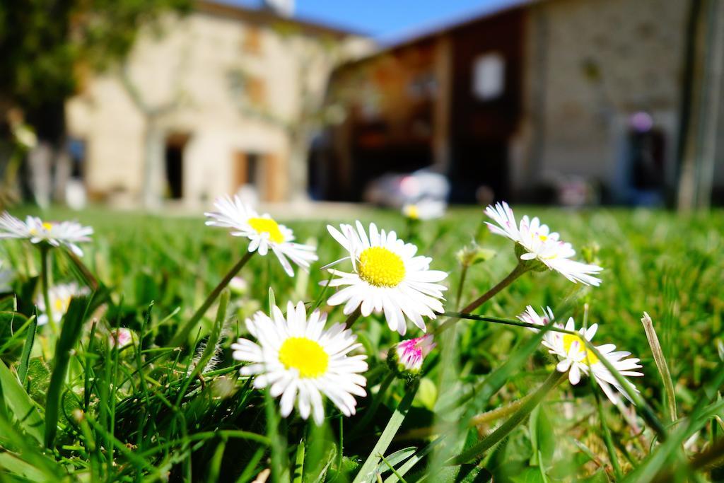 La Ferme Des Denis Chambres Dhotes Chanos-Curson Exteriér fotografie